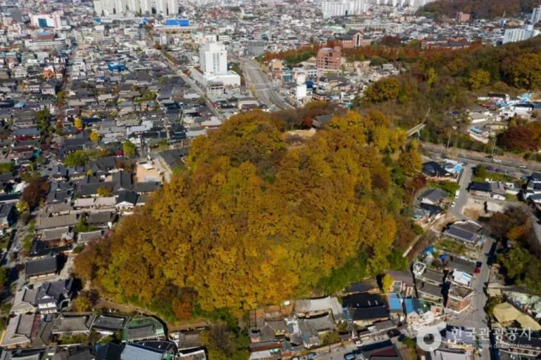 전주 가볼만한곳 오목대에서 내려다본 전주 한옥마을 가을 전경